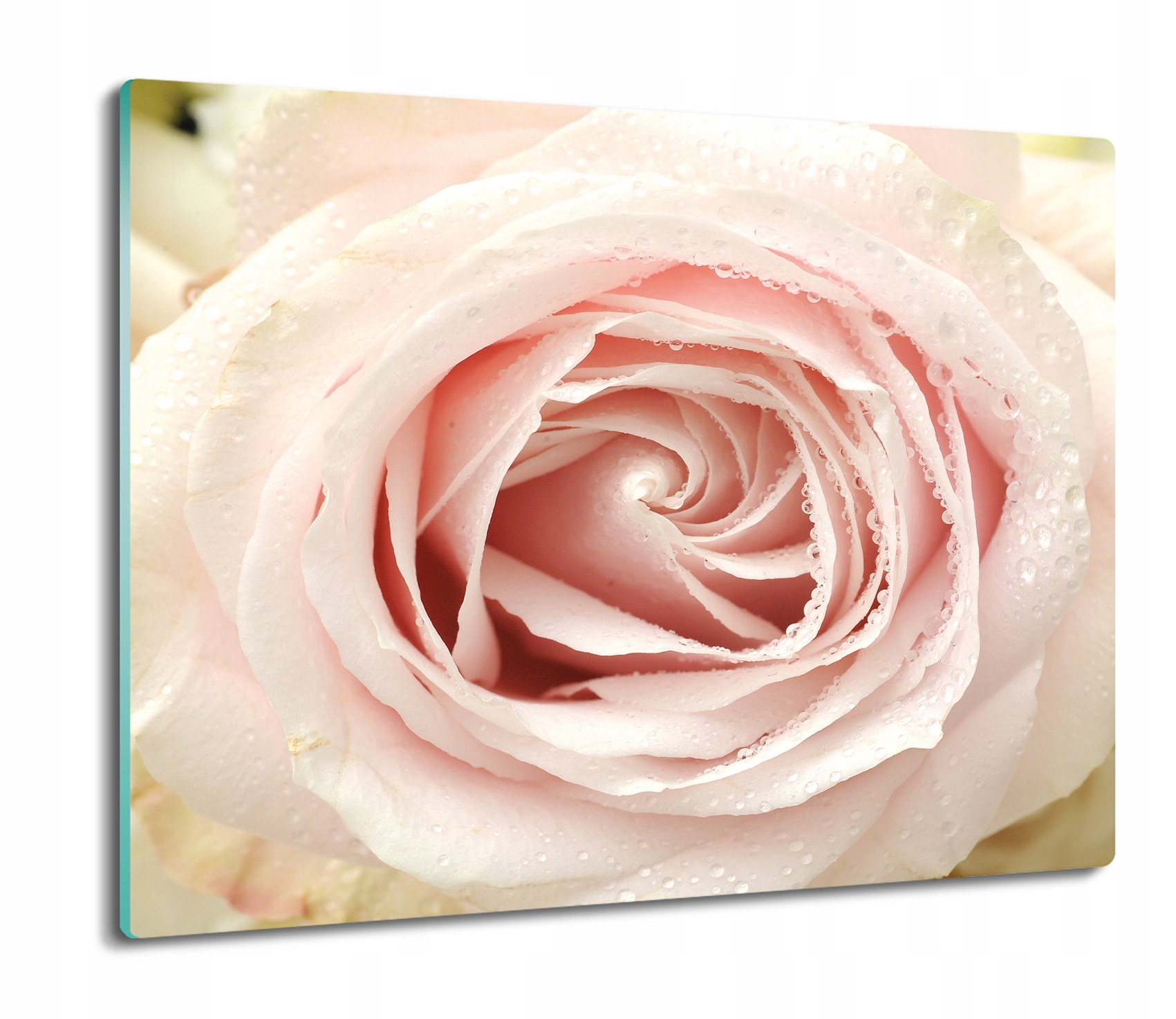 

Róża pąk rosa 60x52 deska prostokątna nowoczesna