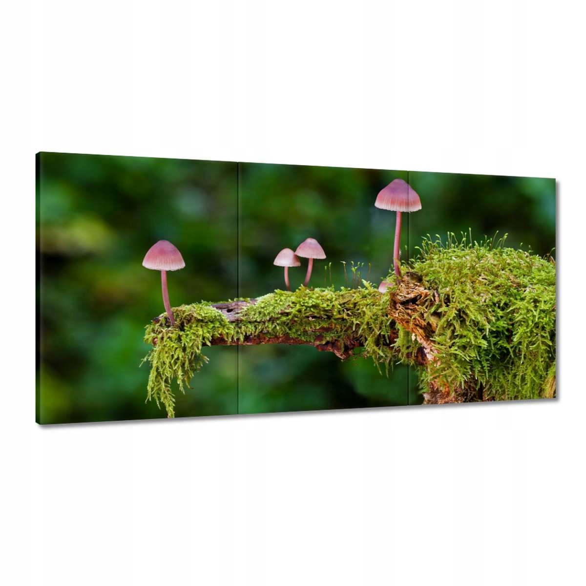 Obrazy 180x90 na machu Makro