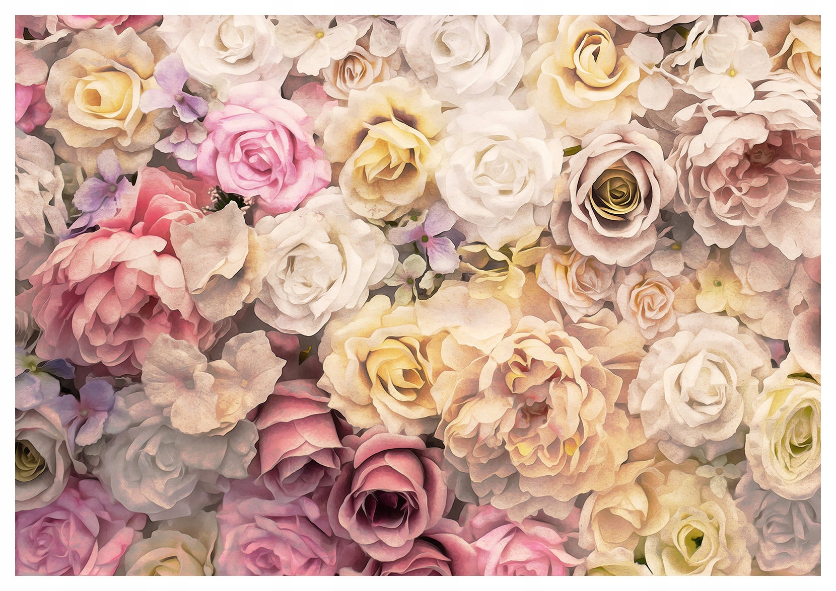 Fototapeta Pastelové růže Elegance jara vinylová 368x254 lepidlo