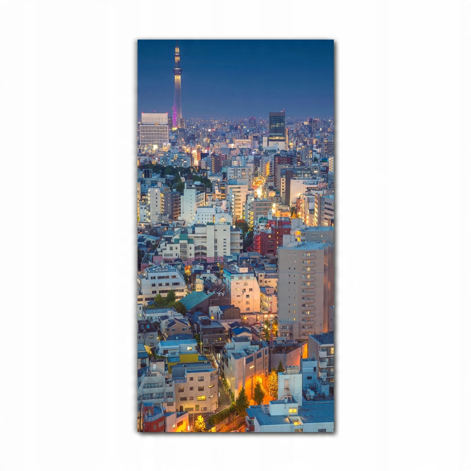 

Foto-obraz na szkle do kuchni 70x140 Tokio pejzaż