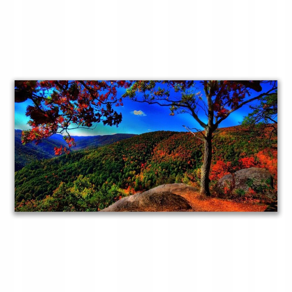 

Fotoobraz akryl z nadrukiem 120x60 Góra Las Natura