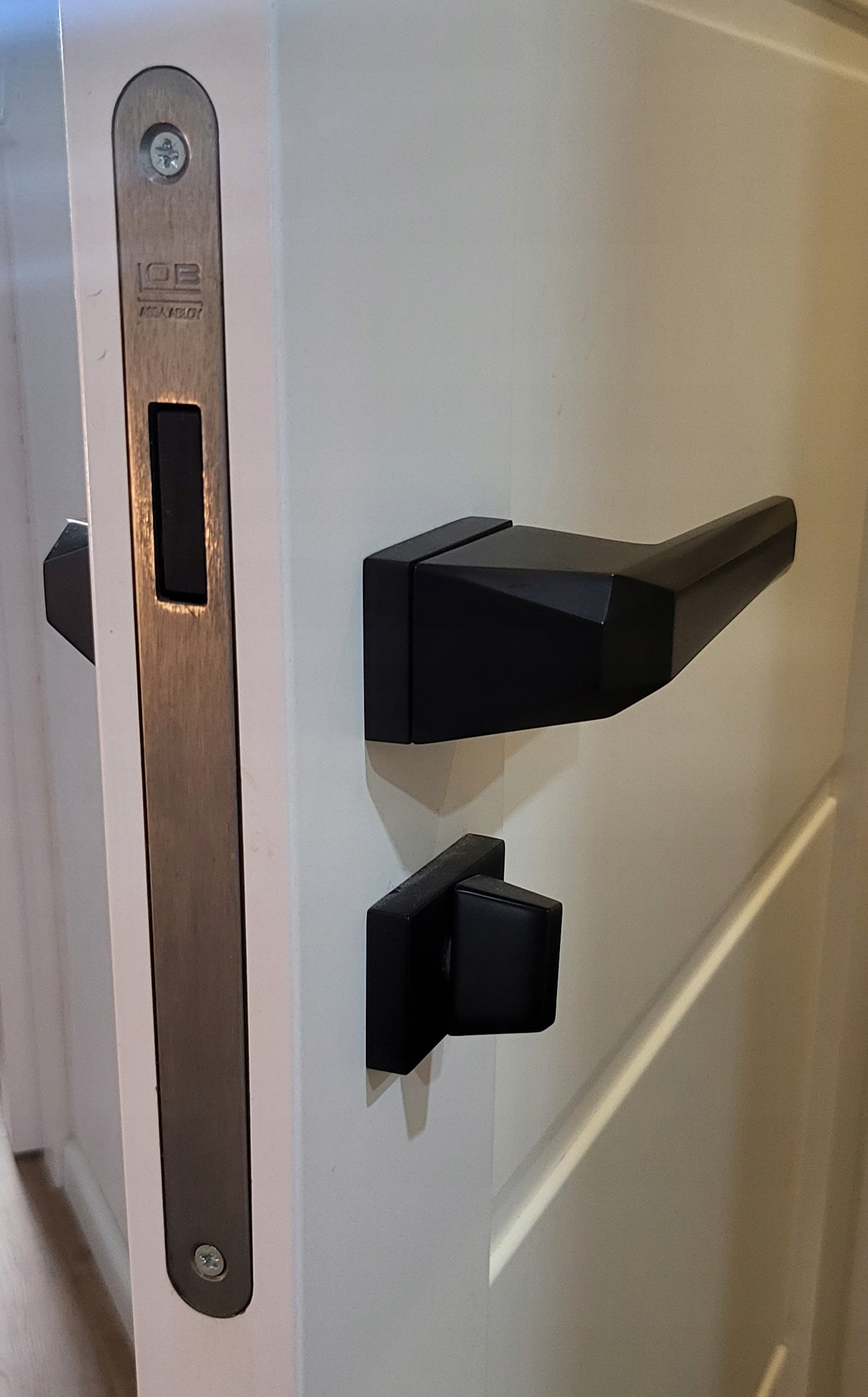 ZAMEK WC Magnetyczny Drzwi Sara Color Eco Rodzaj rozwierane