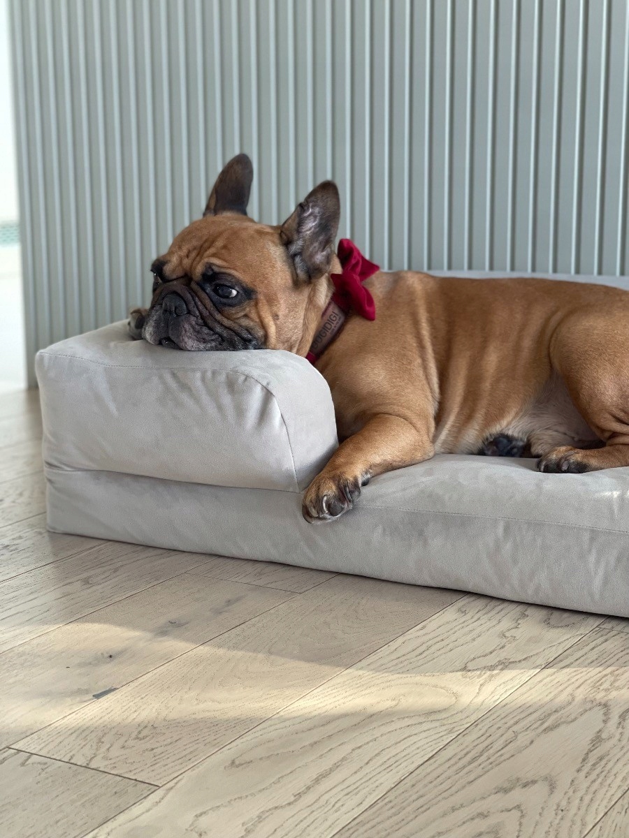 Pelíšek pro psa Montclair