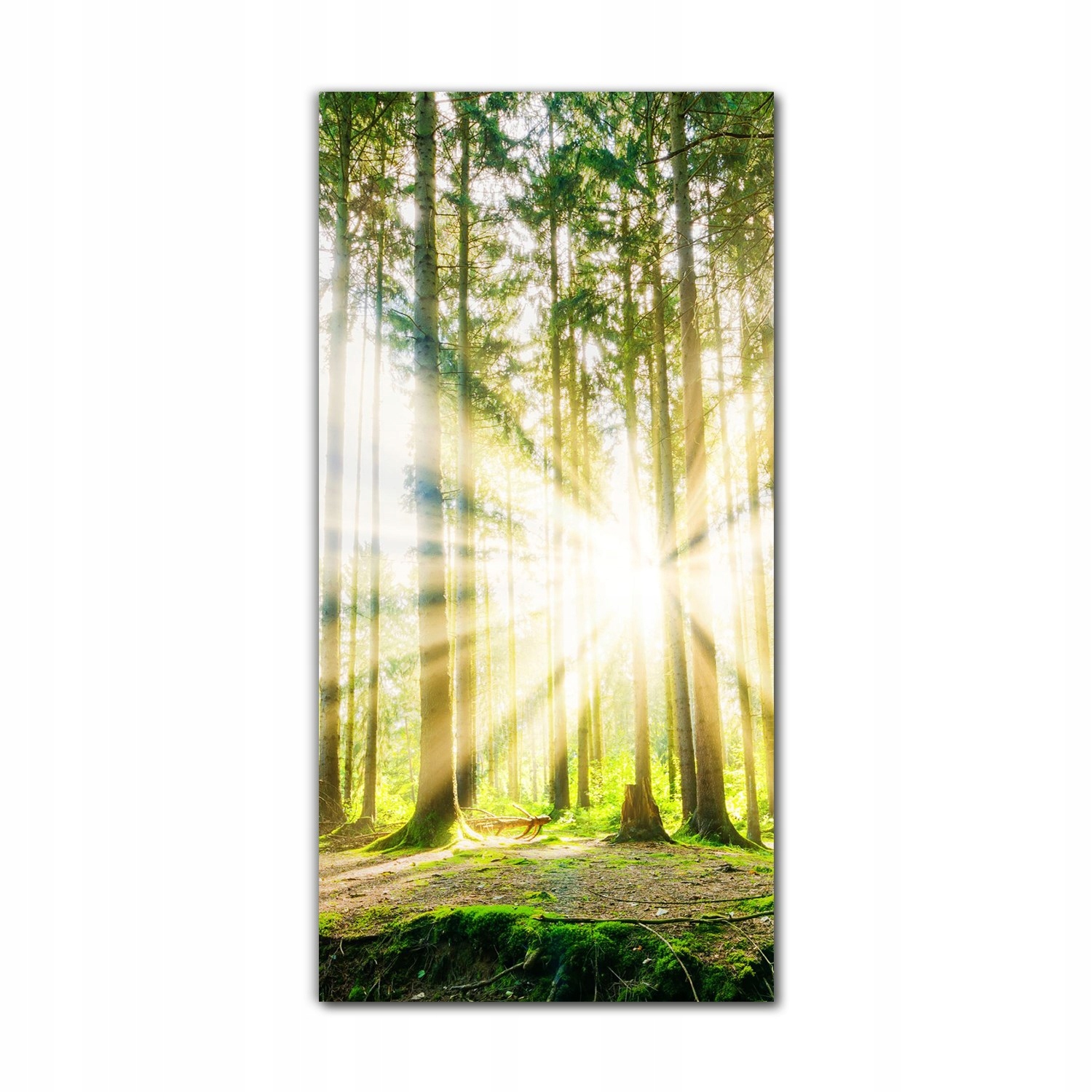 

Foto-obraz na szkle do kuchni 70x140 Przyroda wieś