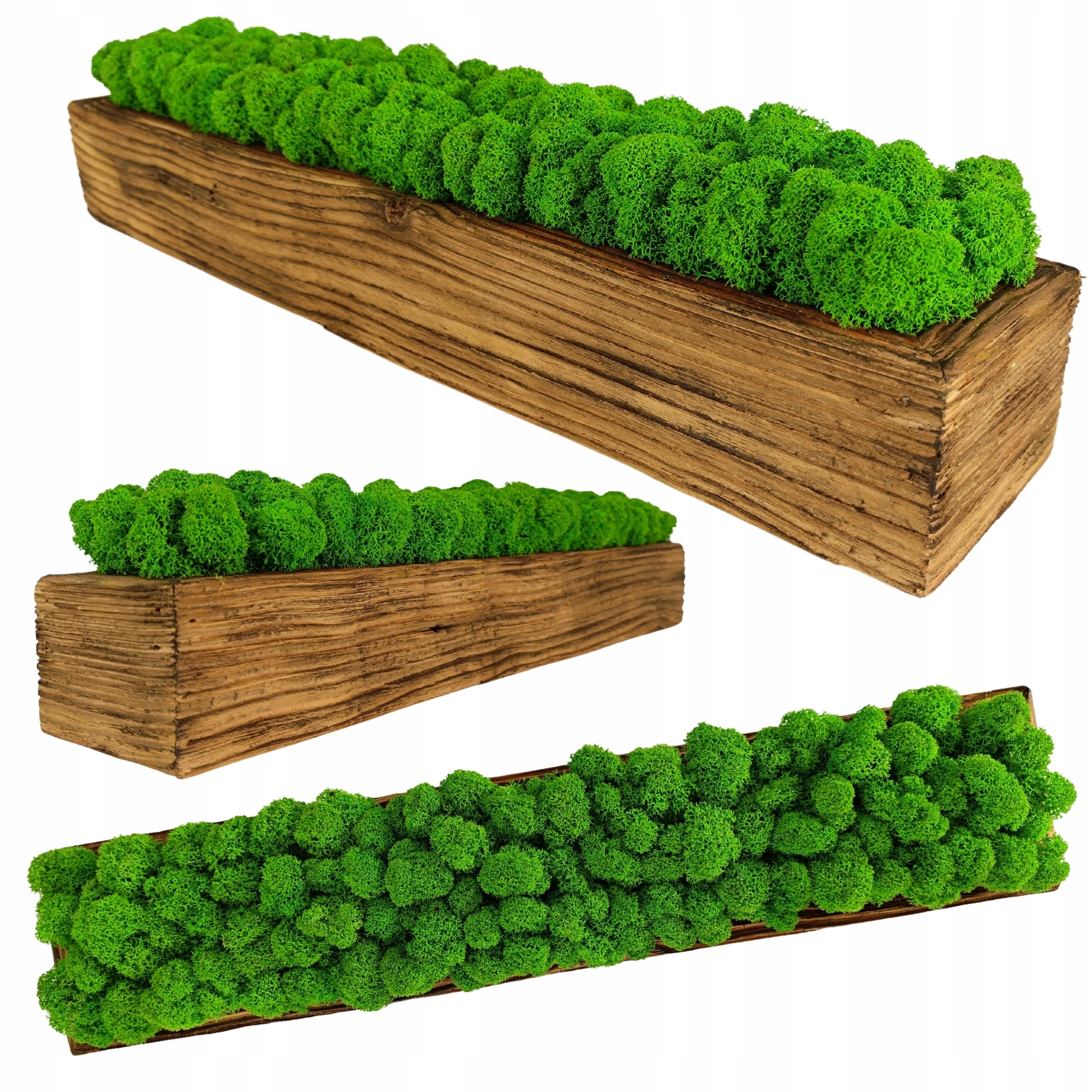 Květináč s mechem Chrobotkem dřevěný Květináč mech dekorativní dekorace