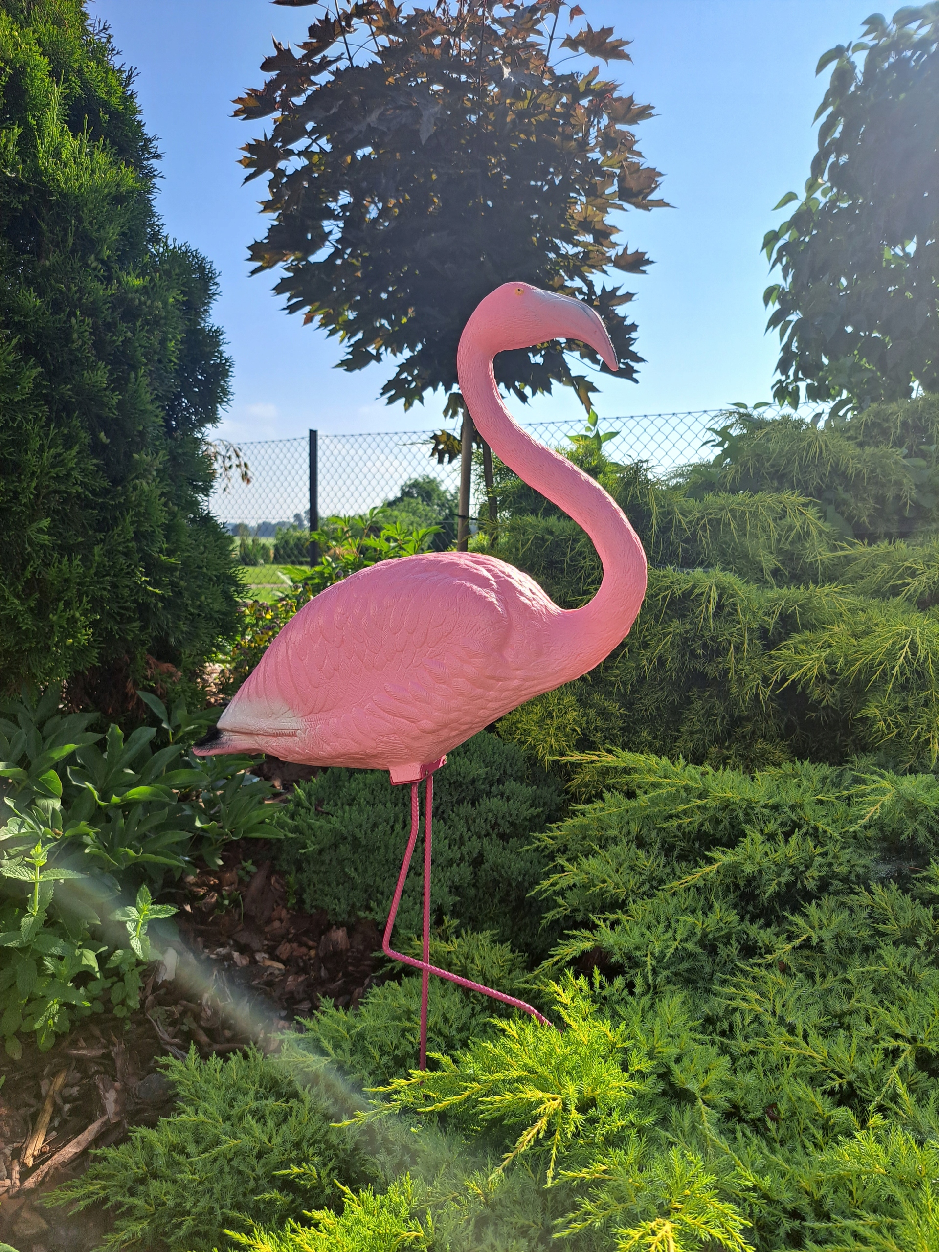 Figura ozdobna DUŻY FLAMING RÓŻOWY ogrodowy Kod producenta fd-p