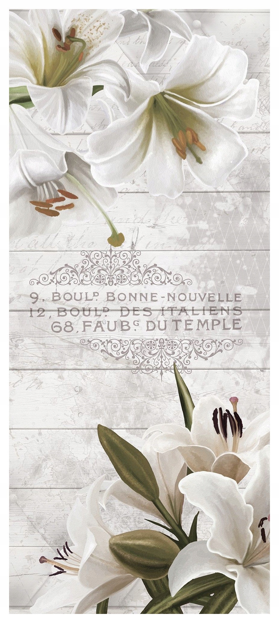 Samolepka Fototapeta Lilie bílá elegance a geometrie v zahradě 91x211