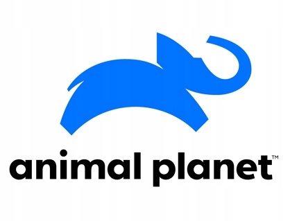 Animal Planet figurka ŹREBAK HANOWERSKI CZARNY Marka Animal Planet