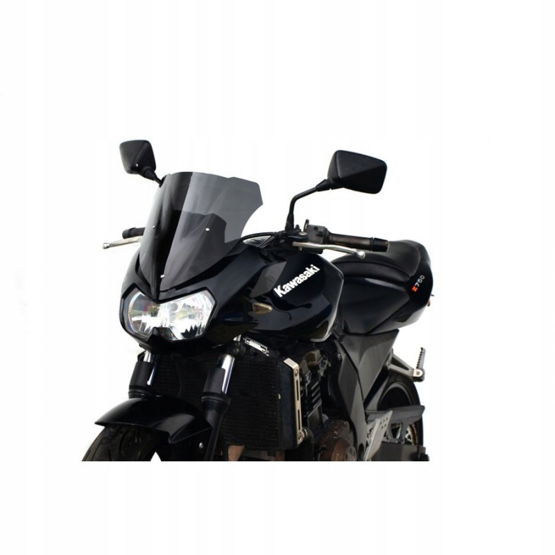 Loster racingové sklo Kawasaki z roku 750 03-06.