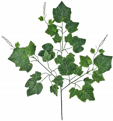 LIŚĆ WINOGRON x3 KWIATY SZTUCZNE LIŚCIE dodatek Marka Madex