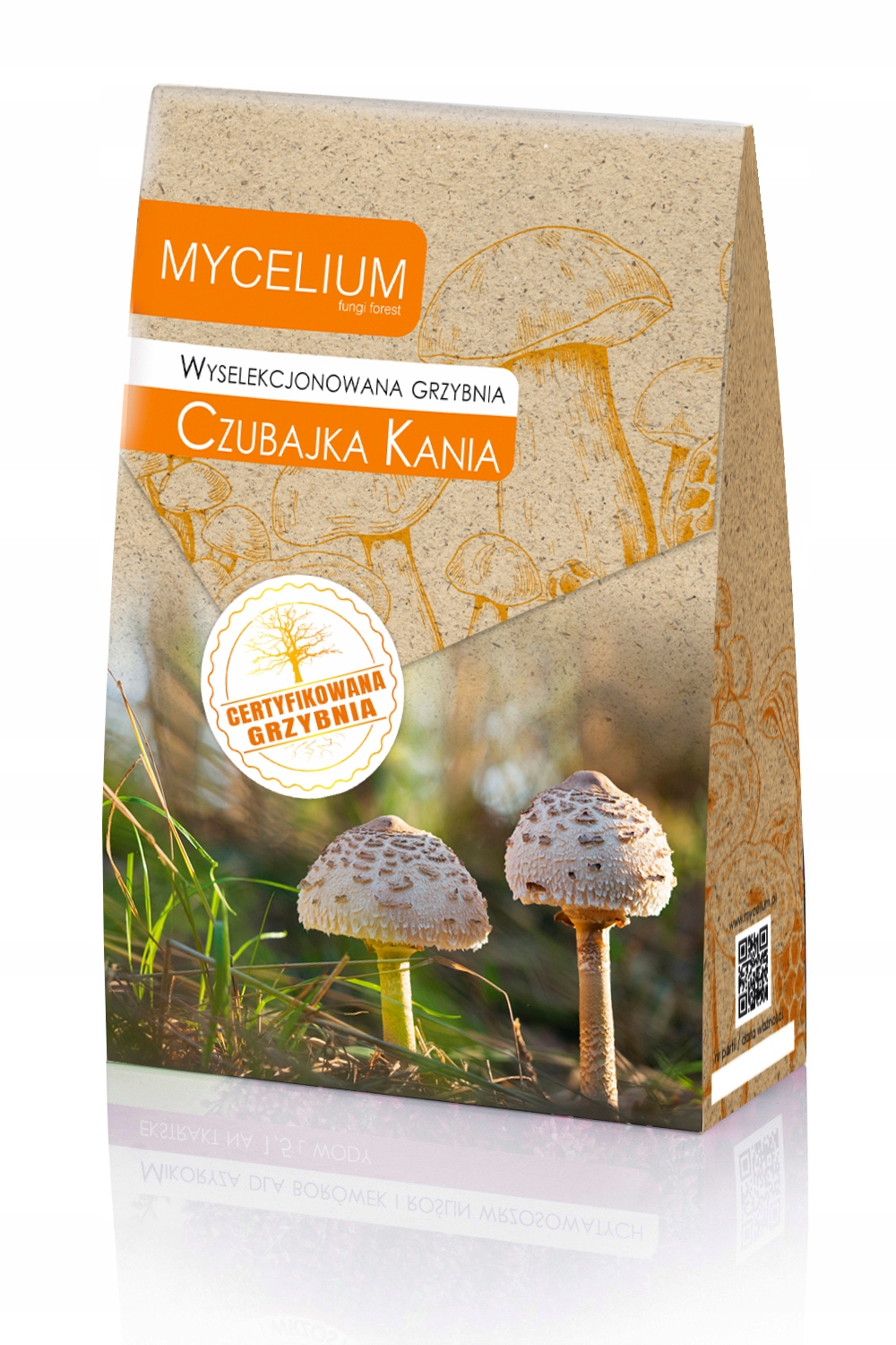 

Czubajka Kania wyselekcjonowana grzybnia