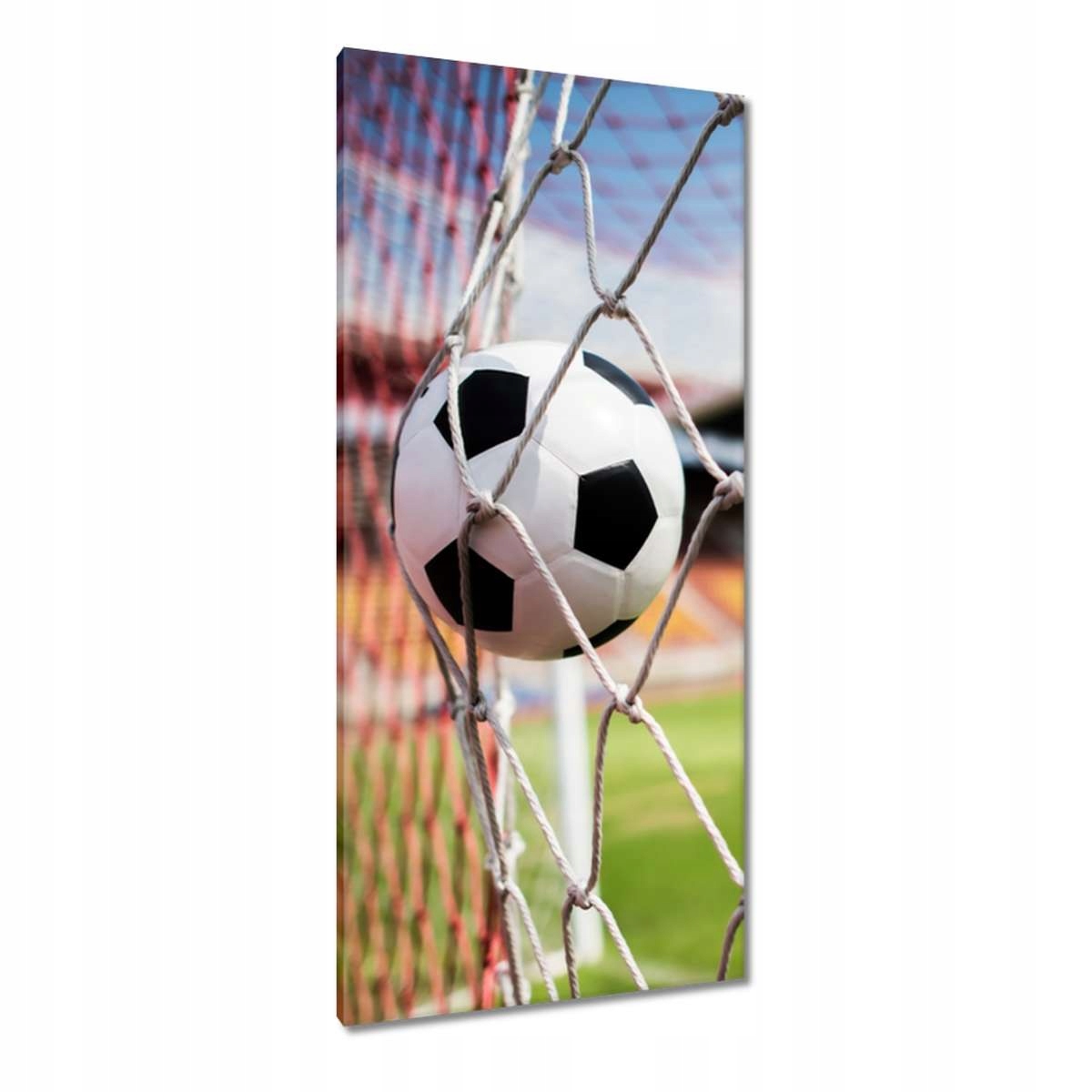 Obrazy 55x115 Gól Branka Fotbal