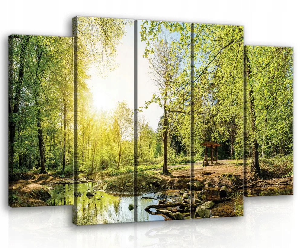 Obraz Na Plátně Canvas 150x100 Les Slunce Krajina