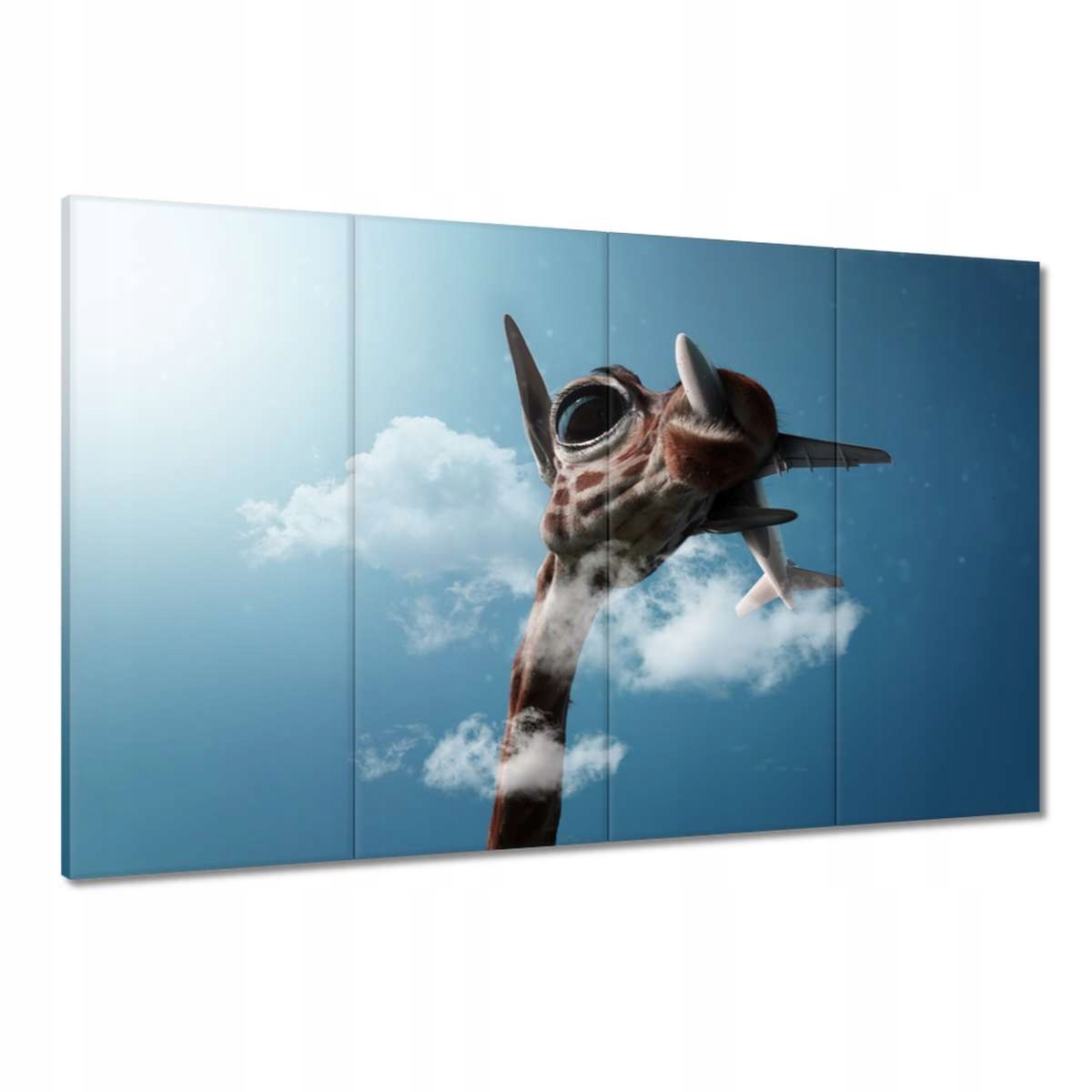 Obrazy 120x80 Letadla Letadlo