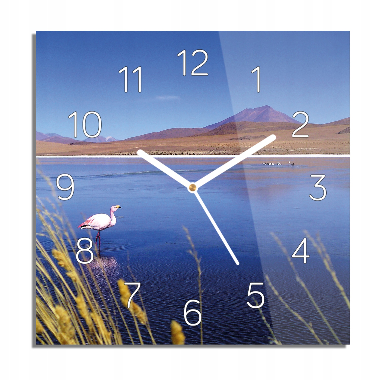 

Morze ptak góry zegar na szkle nowoczesny 30x30