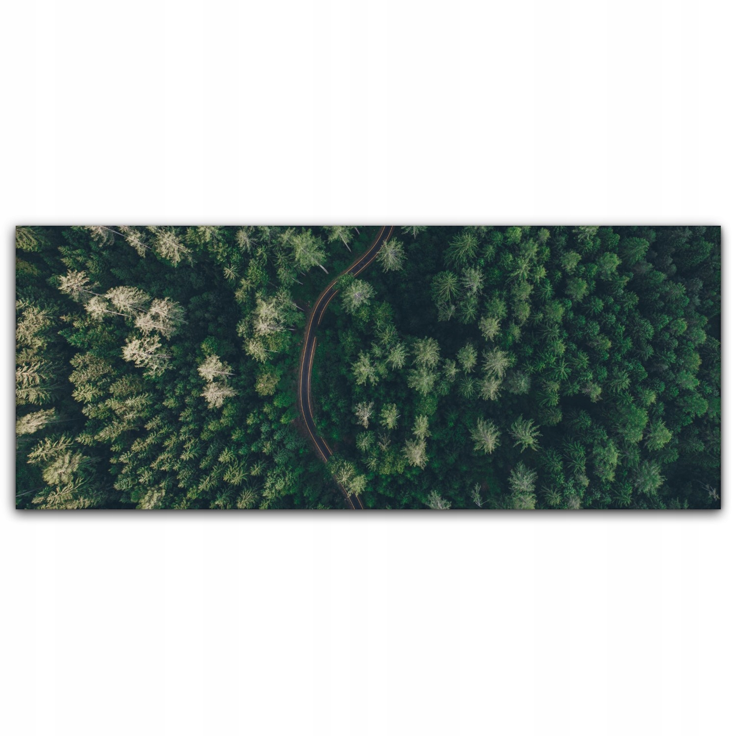 

Canvas na ramie ścienny 125x50 Droga Las Krajobraz