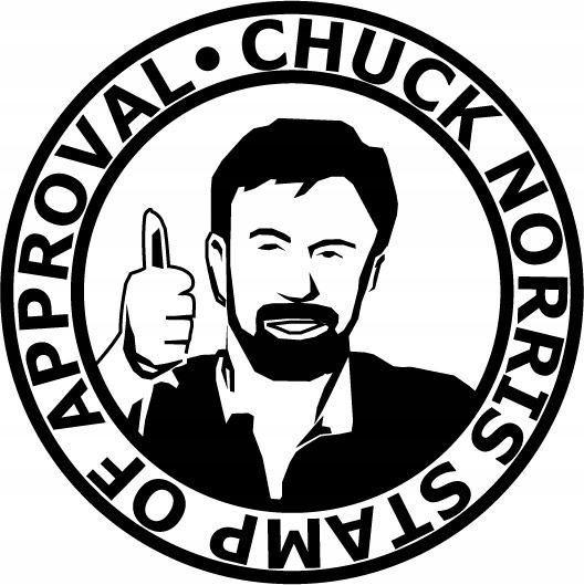 Naklejka 3D na Samochód Auto Gadżety Wodoodporna Chuck Norris Teksas