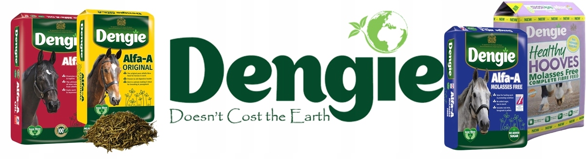 DENGIE sieczka Hi Fi Lite 20 kg Kod producenta DEN016