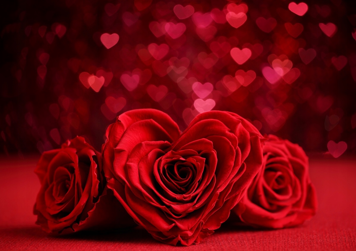 

Tapeta flizelinowa Róże Serce 312x219