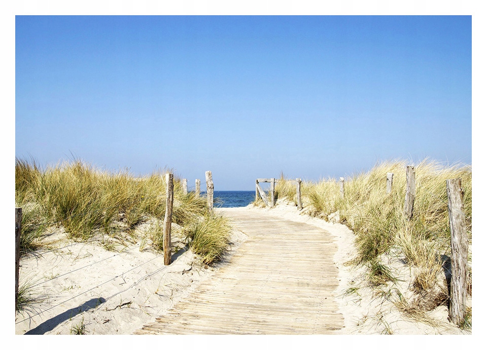 

Fototapeta 3D plaża morze wydmy 368x254 F00289