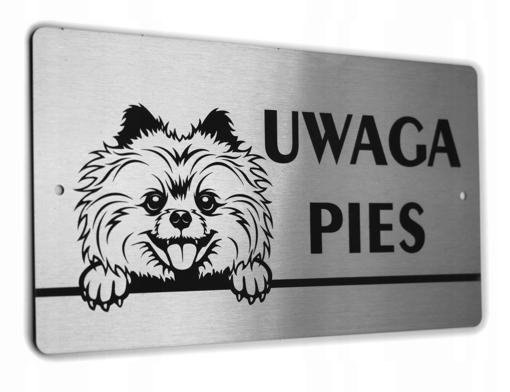 Tabliczka UWAGA PIES Szpic Miniaturowy, Pomeranian
