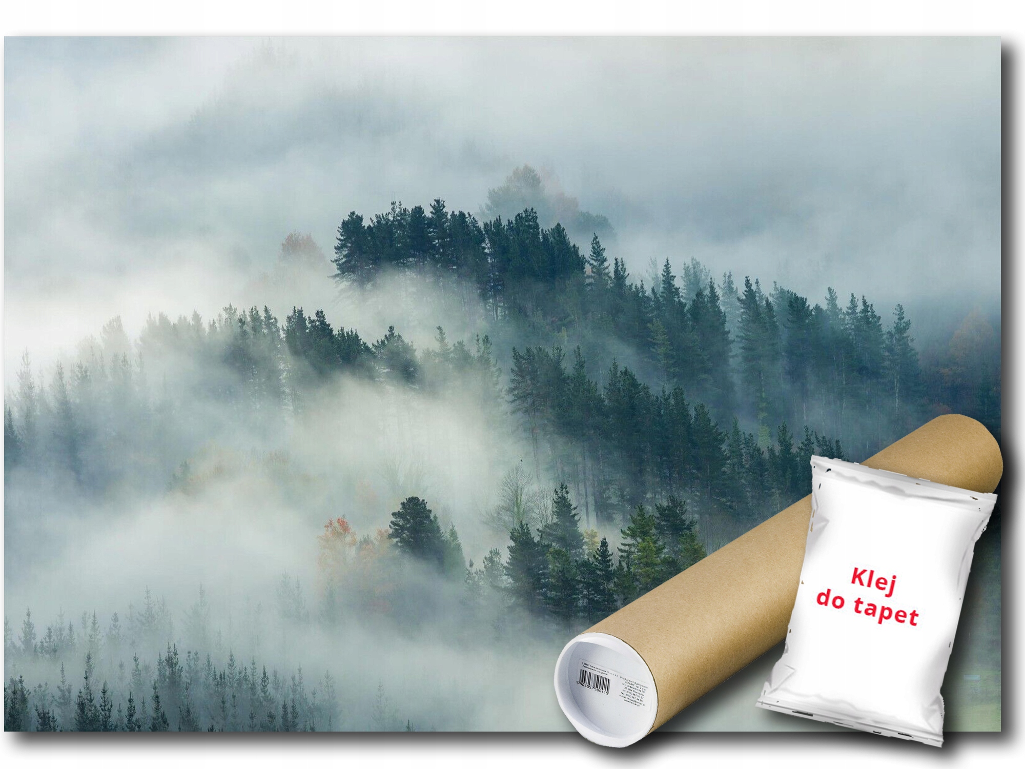 Vinylová Fototapeta Les Hory Mlha Pohled 208x146