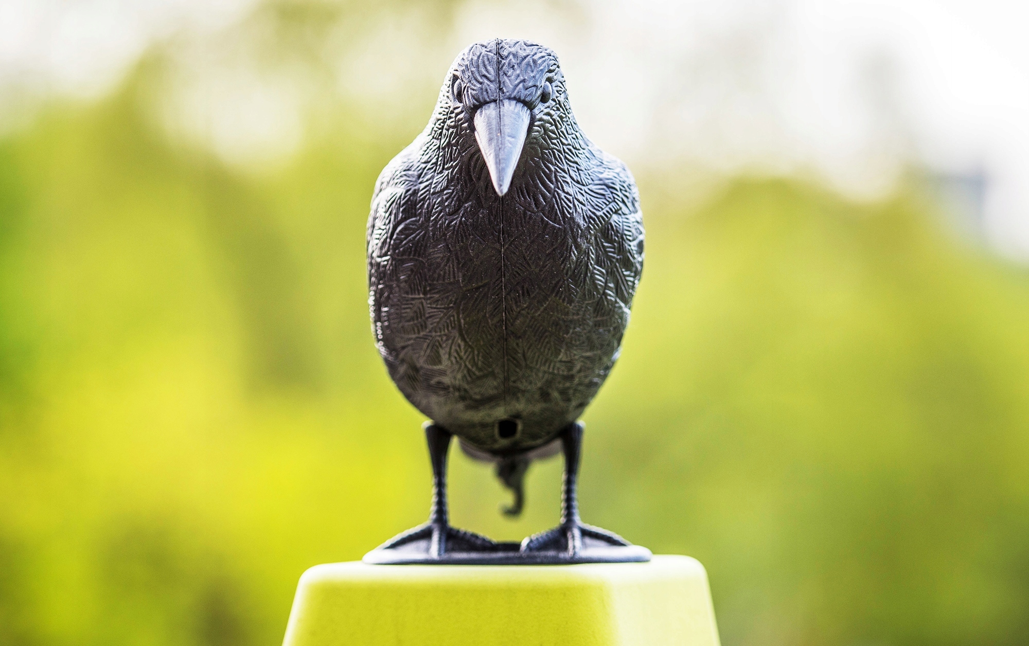 KRUK SZTUCZNY ODSTRASZACZ PTAKÓW GOŁĘBI NA BALKON Marka bez marki