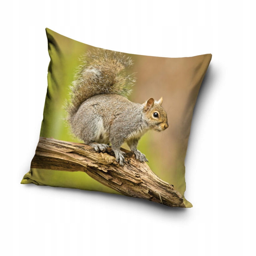 

Poszewka Mikrofibra 40x40 Dekoracyjna Wiewiórka