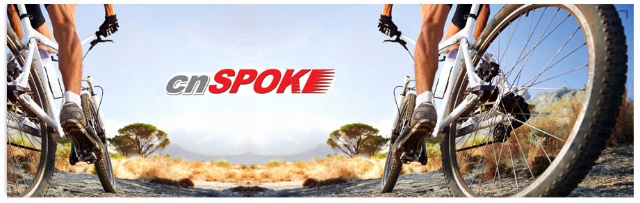 Szprycha CnSpoke STD14 238 mm srebrna Marka Cnspoke