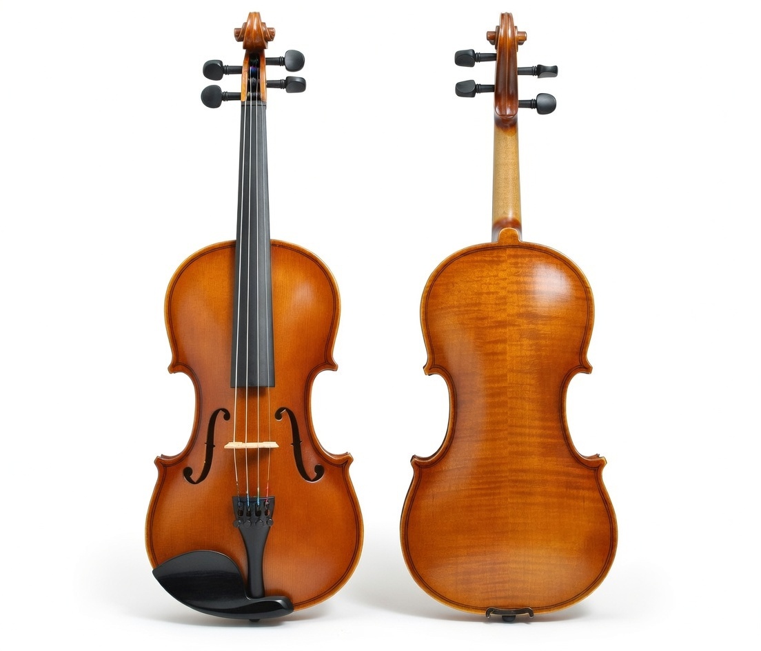 Housle 4/4 Pouzdro Smyčec Kalafuna