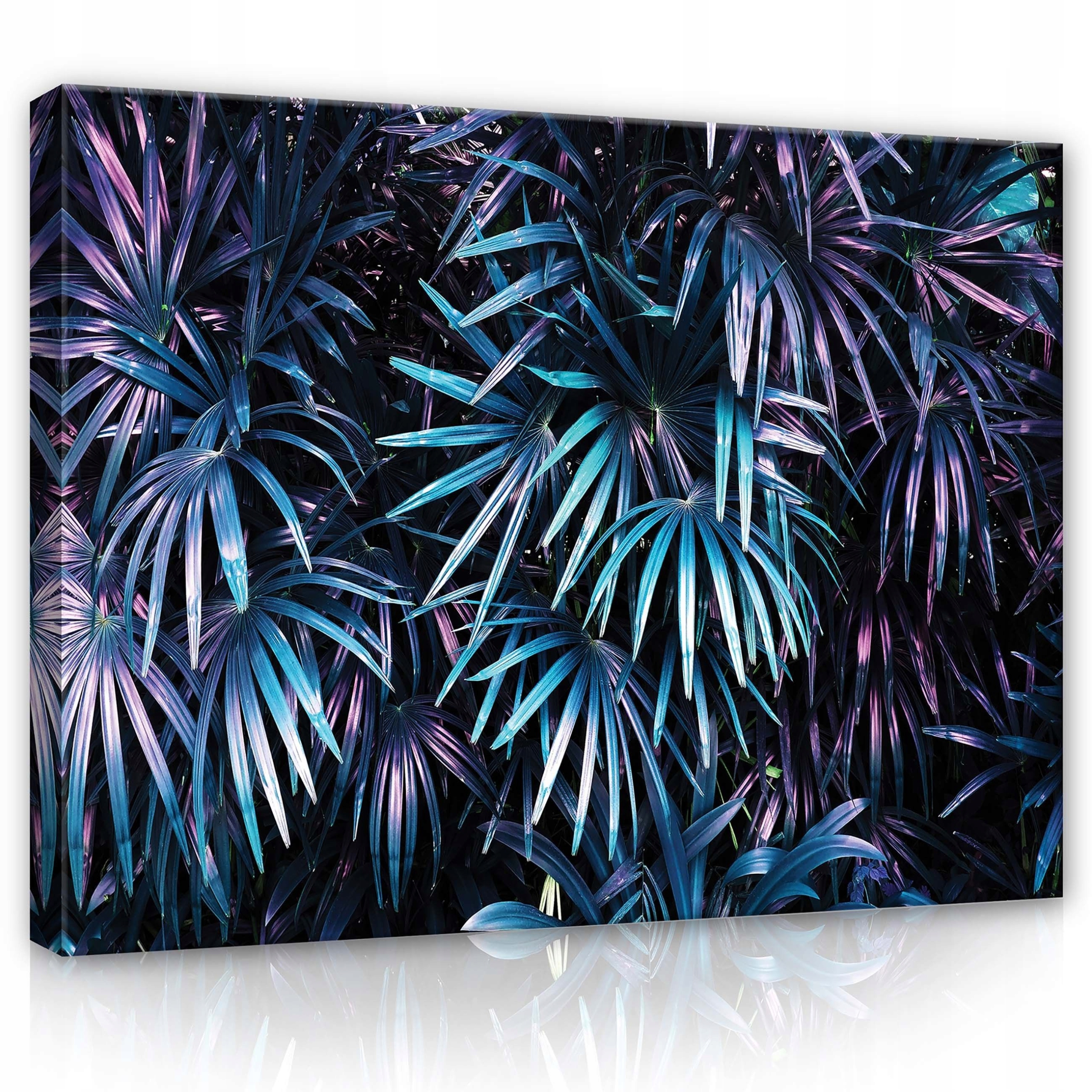 Obraz 80x60 Tropy palmy listy džungle noc neon fialová tajemství