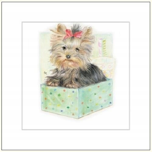 KARNET 16X16 G04 41G 055 + KOPERTA PIES RYSOWANY