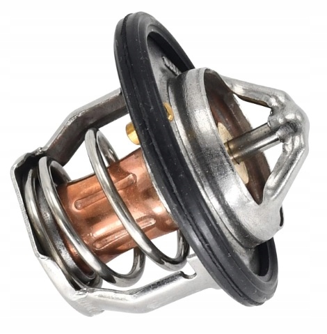 Termostat chladicího systému motoru 119717-49800 11971749800