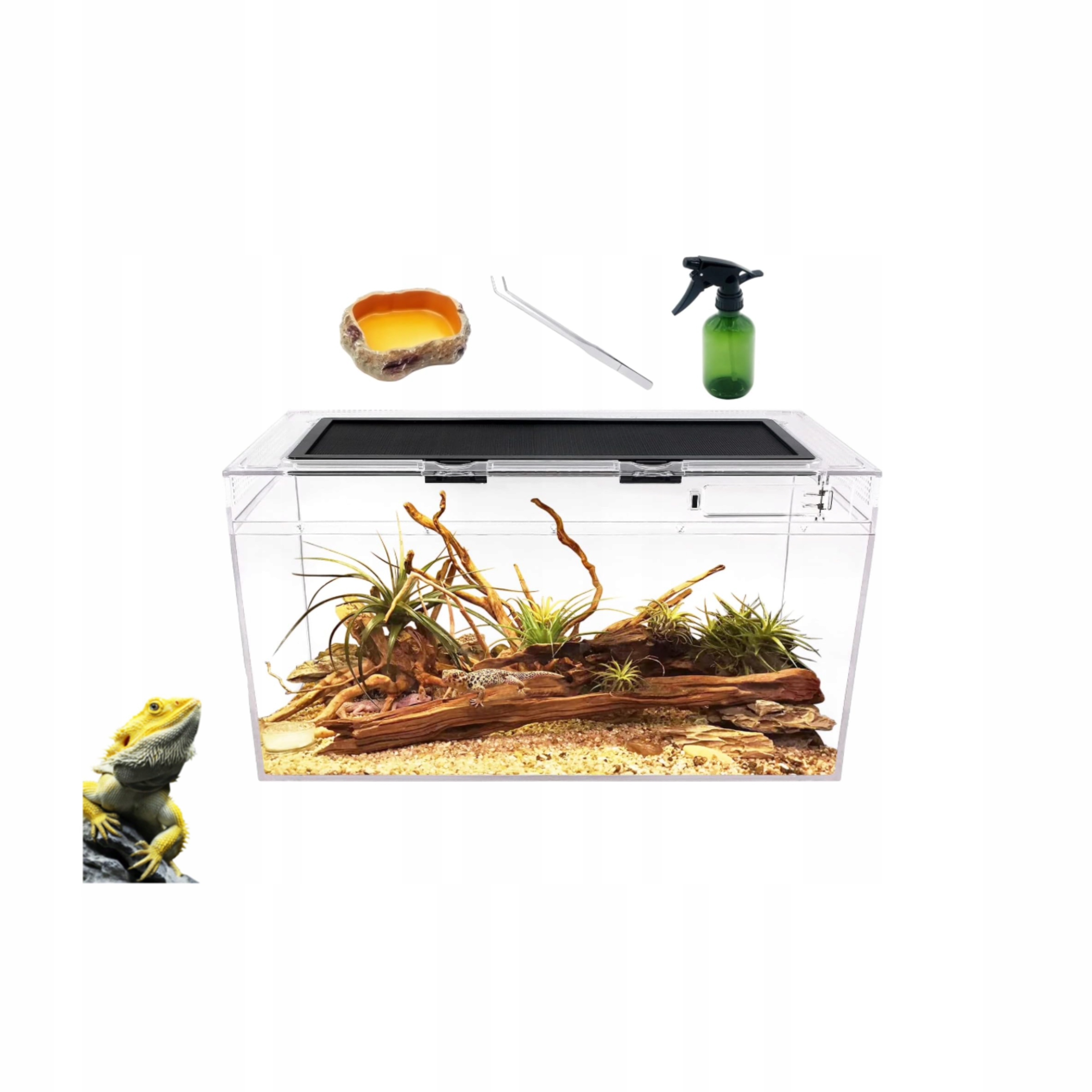 Terárium pro pavouky Slimáky Žáby Transparentní Reptile Growth Odolné