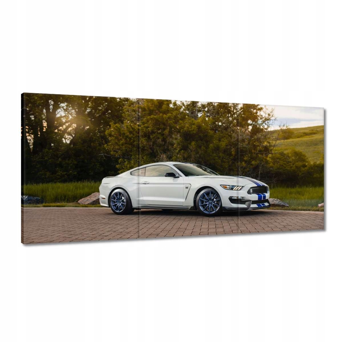 Obrazy 210x100 Ford Mustang Auto Usa