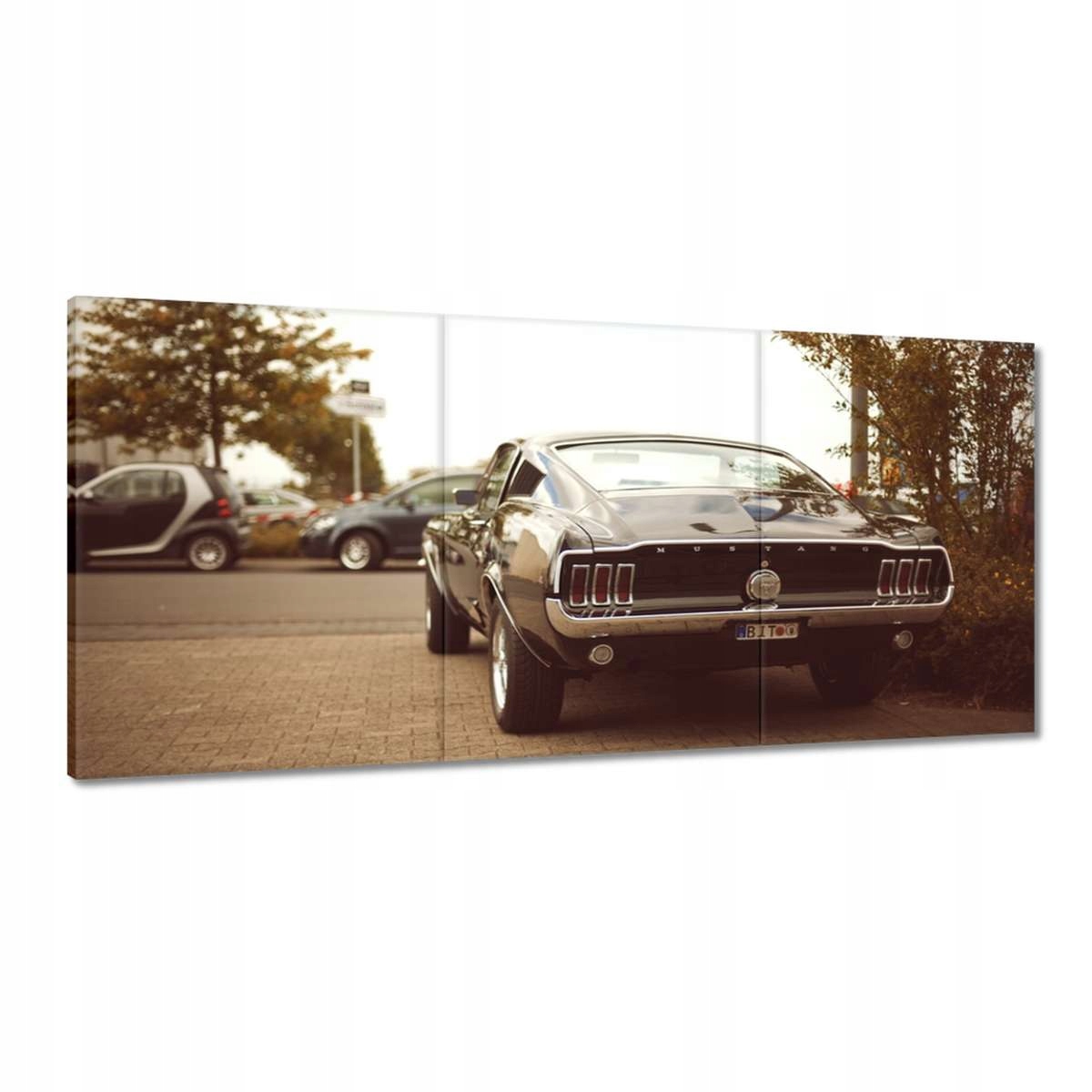 Obrazy 210x100 Vintage foto Ford Mustang