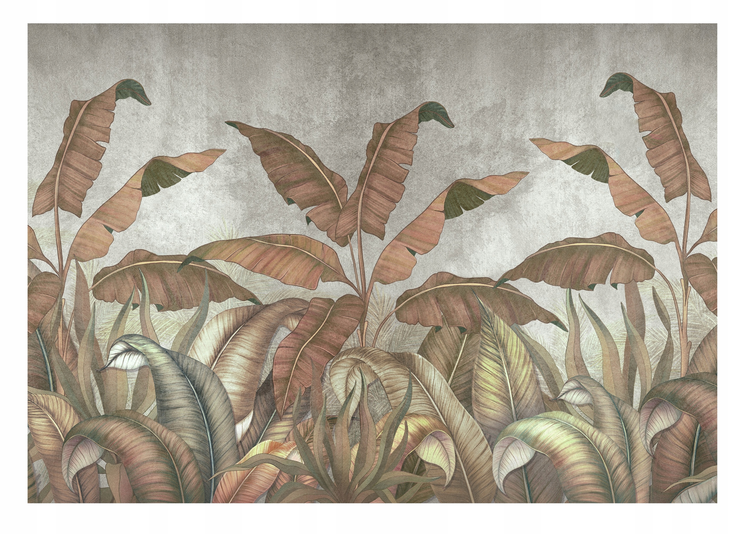 Fototapeta Banánovní Listy XXL na betóne 416x254