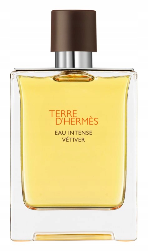 Hermes Terre D'hermes Eau Intense Vetiver Edp 100