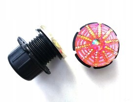 Guzik do Moonlight orange spider