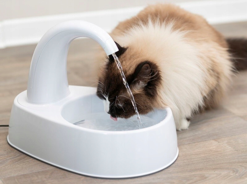 Trixie poidło automatyczne, dla kota, białe, plastik, 2,5 l