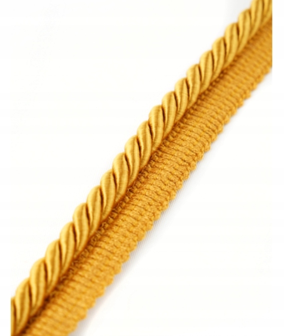 

Sznurek ozdobny z wypustką 8mm złoty