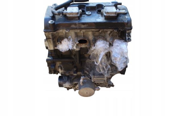 0001102 - TIGER 1050 СПОРТИВНЫЙ ДВИГАТЕЛЬ 08R