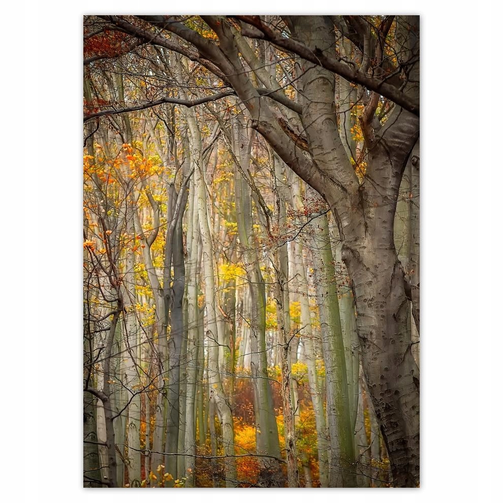 

Naklejki 50x70 Pejzaż Krajobraz Widoczek