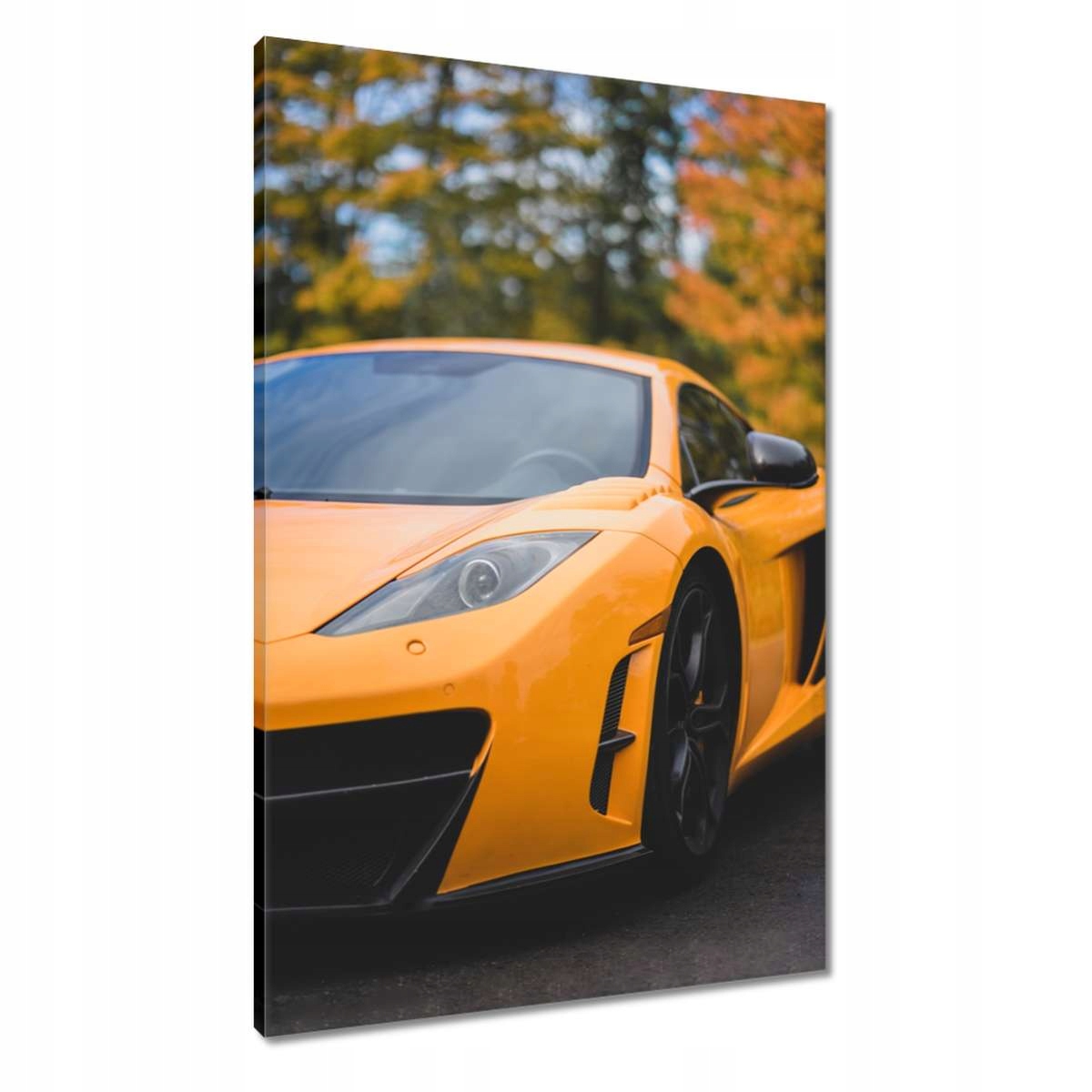 Obrazy 60x90 Sportovní Auto