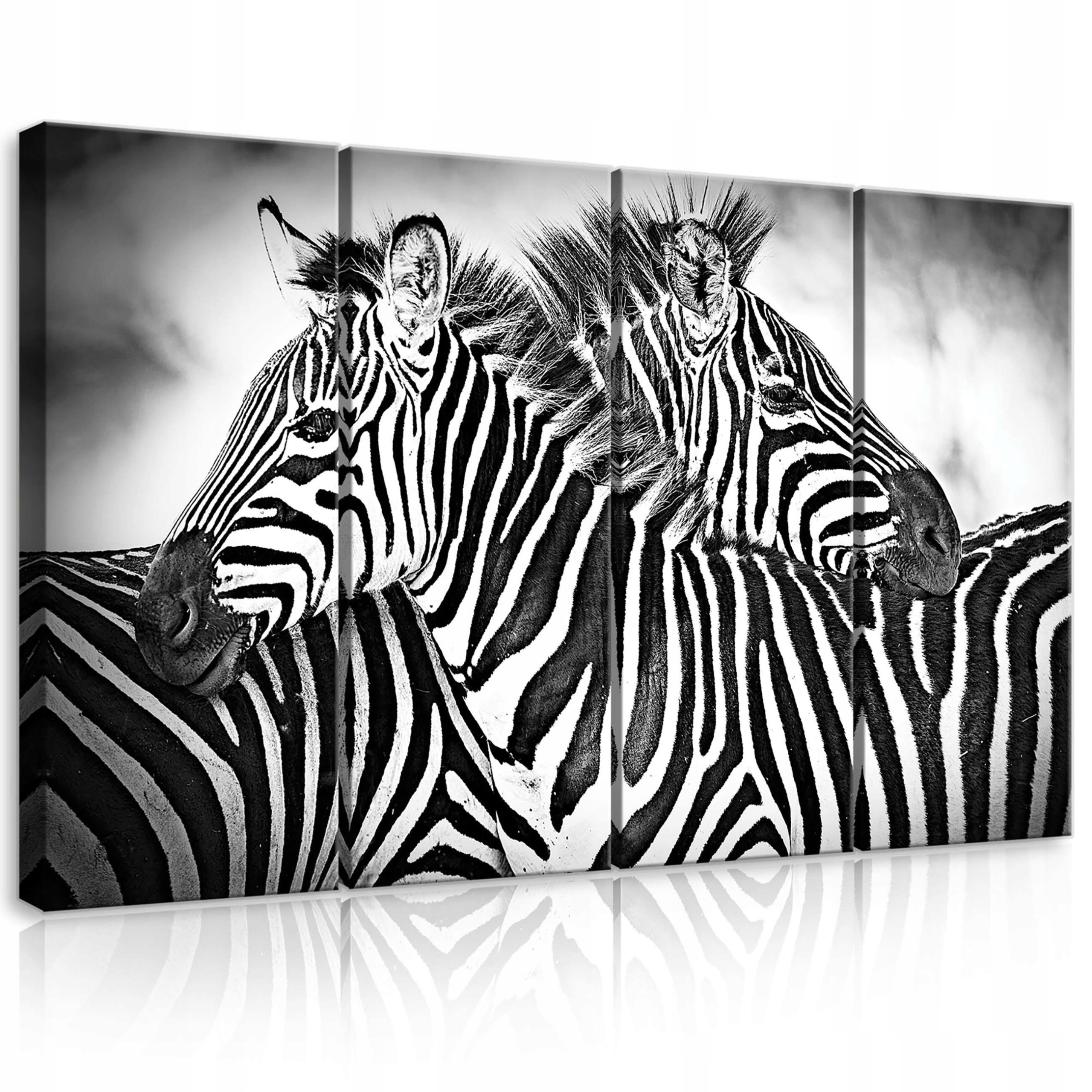 Obraz 120x80 Zebra pruhy černobílé safari zvířata příroda vzor grafika
