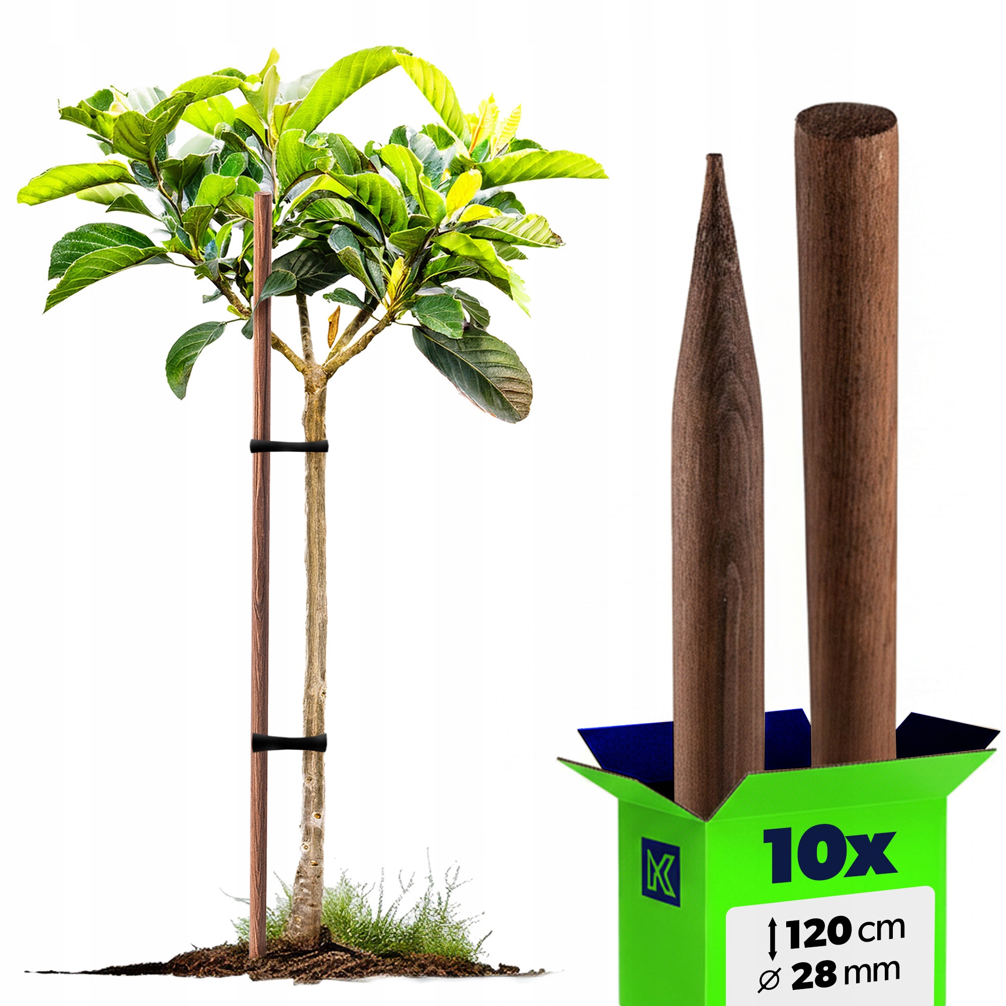 10 x Dřevěné Tyče Na Rajčata 120 cm Impregnovaná Podpěra 28 mm