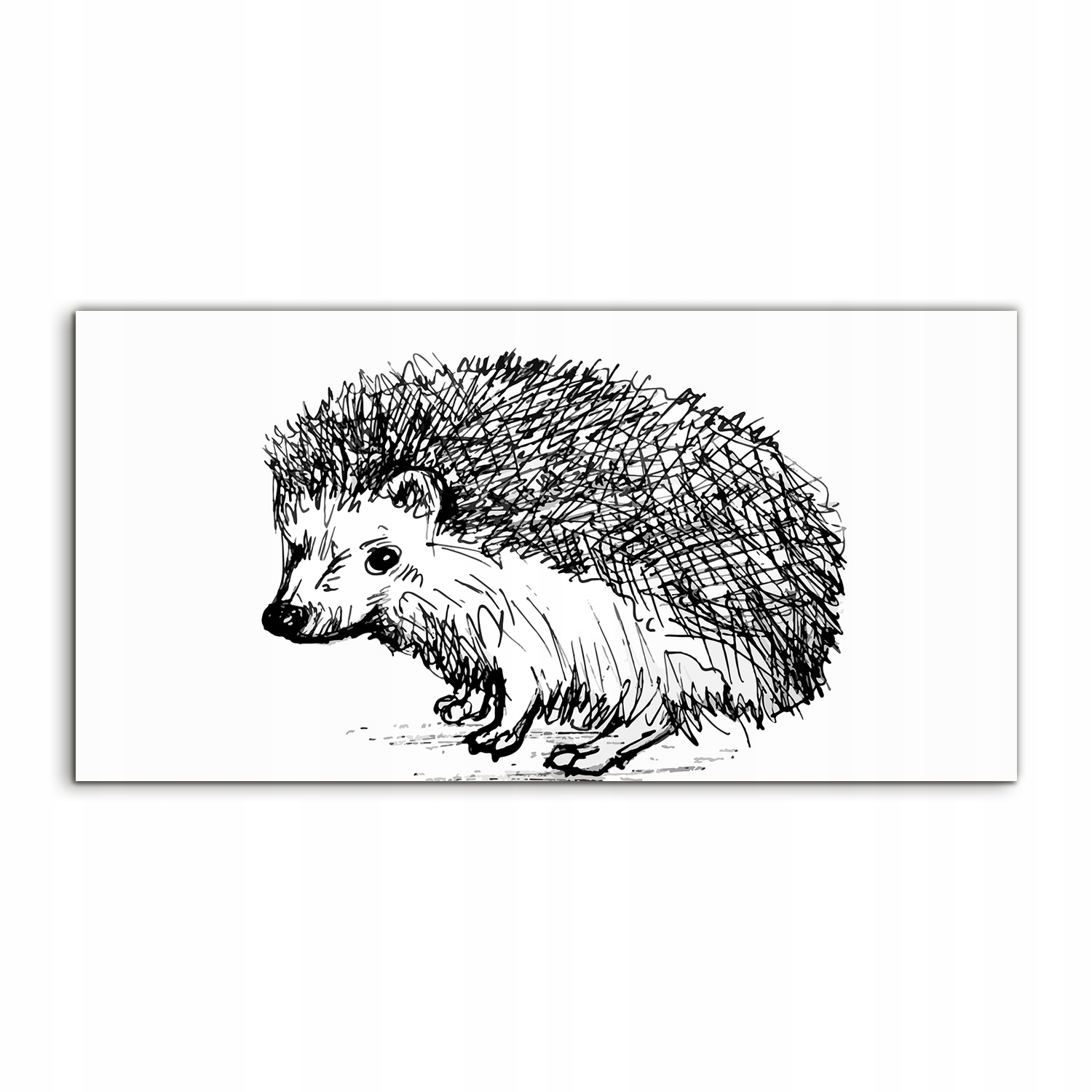 

Obraz akrylowy 100x50 z grafiką Jeż Zwierzę Sztuka