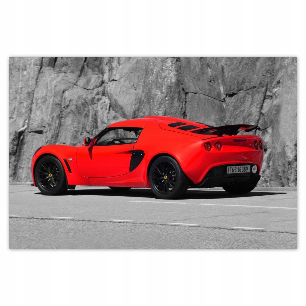 

Plakaty 60x40 Czerwony Lotus