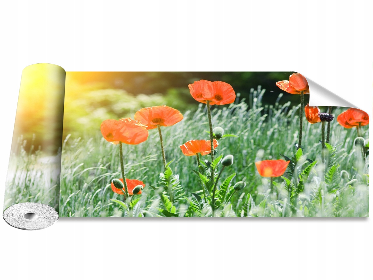 

Tapeta Samoprzylepna Kwiaty maku 250x104