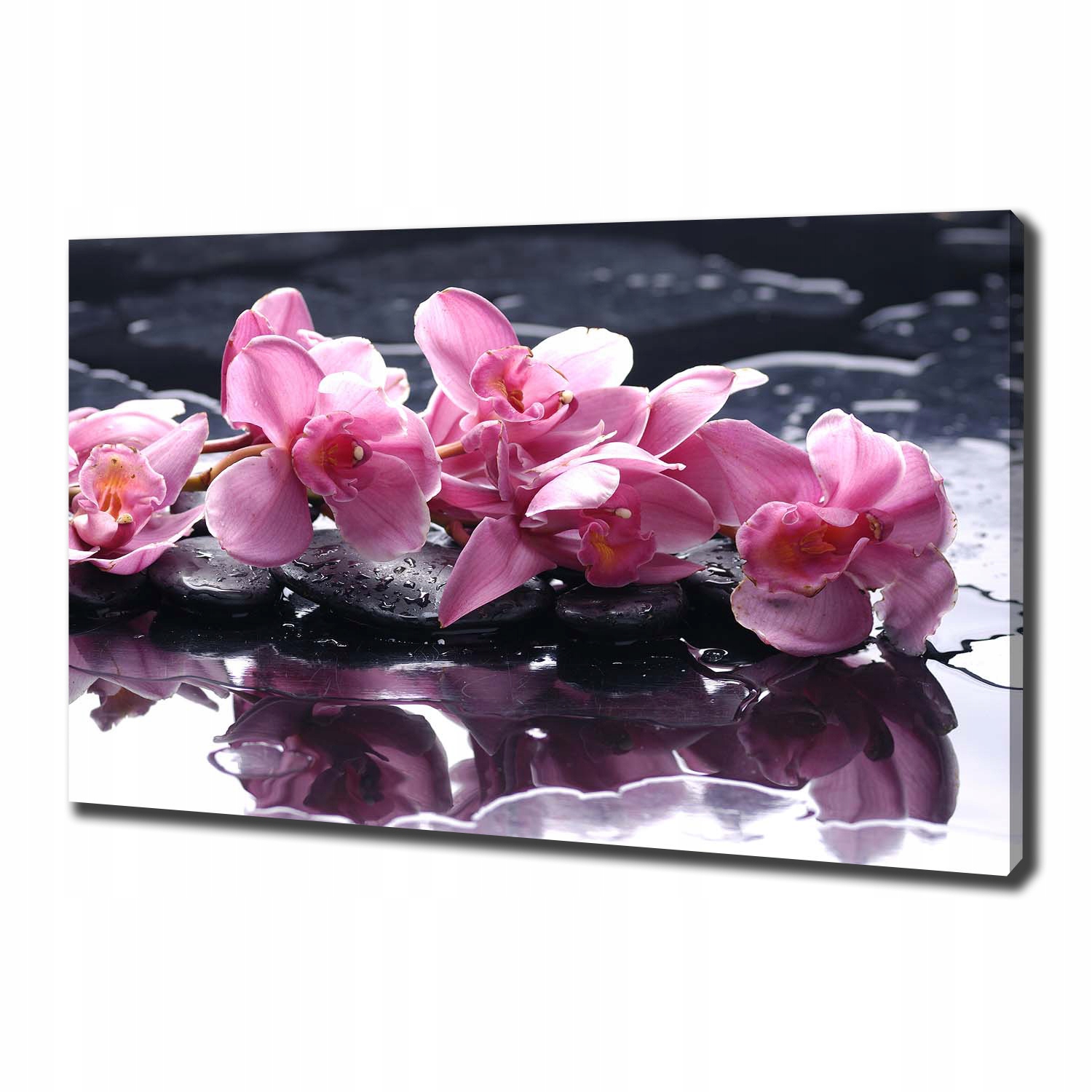 

Foto obraz na płótnie Różowa orchidea 100x70 cm